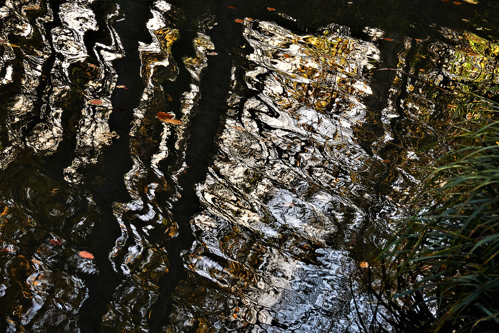 Reflection 6