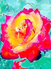 Rose du jardin ......