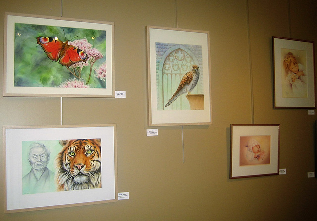 Expo d'aquarelles à Tubize