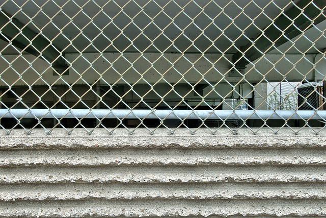 Happy Fence Friday