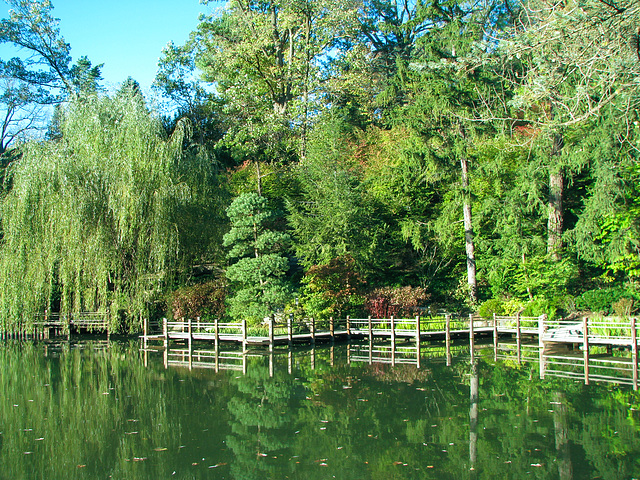 Japanese Garden Path