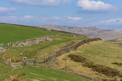 Track and Kinderlow horizon