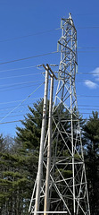 NG 13.2kV poles and 69kV tower