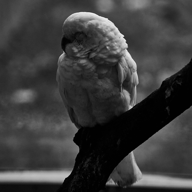 Tierpark Straubing