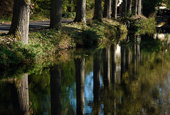 Le long du rivage de la Juine