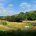 Locomotive 80002 leaves Haworth with a train for Oxenhope