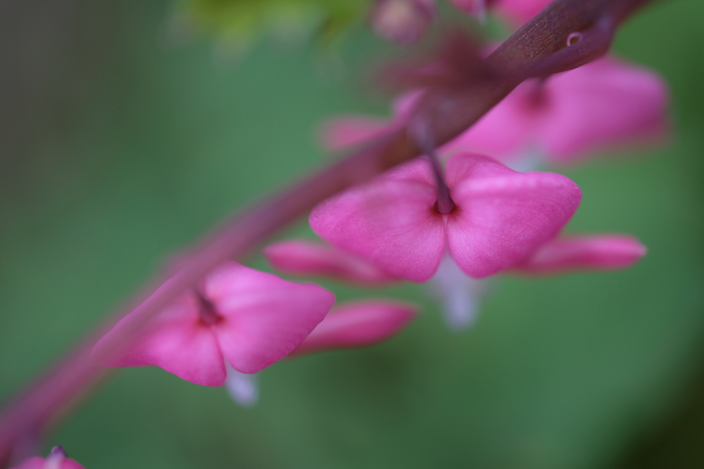 DSCF4760