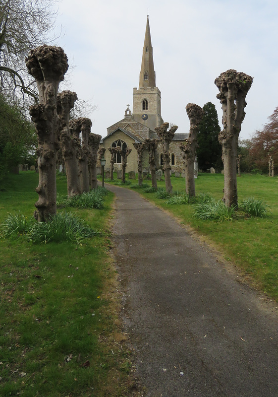 eltisley church, cambs (29)