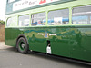 FFT - bus livery detail