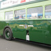 FFT - bus livery detail