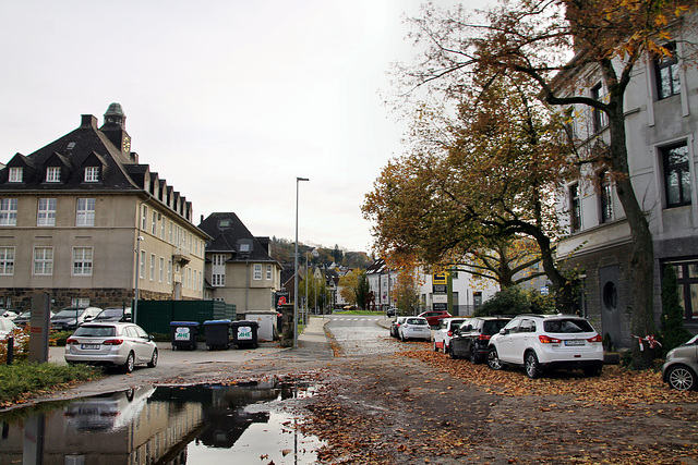 Wittener Straße (Witten-Herbede) / 6.11.2021