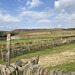 Cown Edge from Monks Road