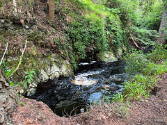 The Scurry Pool