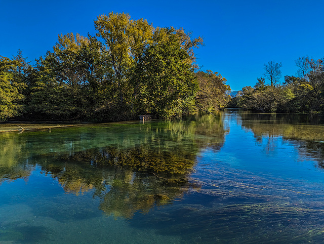 La Sorgue à l'Isle sur la Sorgue  (84).