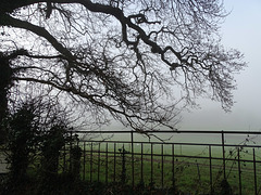 A misty morning in Ruyton