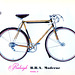 Raleigh RRA Moderne 57-001