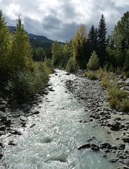 Fitzsimmons Creek