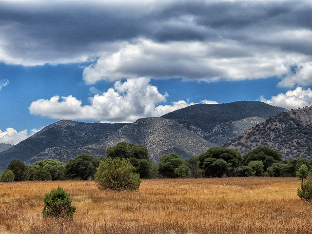 The Huachuca Mountains