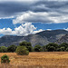 The Huachuca Mountains