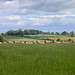 Looking northwards from near Blakenhall Farm
