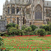 Tulip maze and Arundel Cathedral