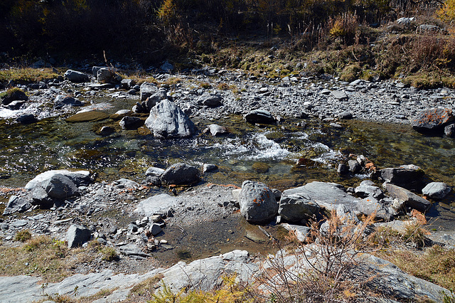 Lebenselexier Wasser