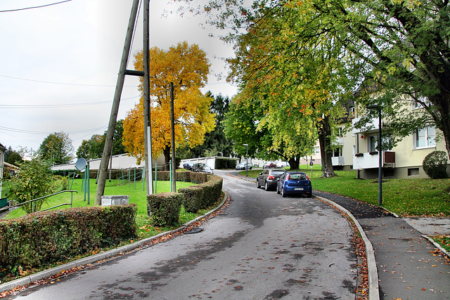 Bringmannstraße (Wülfrath-Rohdenhaus) / 8.10.2017