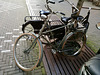 The Hague 2020 – Gazelle cross frame bicycle