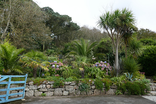 HFF from our garden for a week in Porthcurno