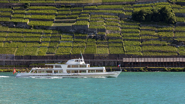 210630 GG Lavaux