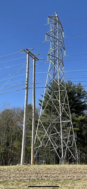 NG 13.2kV poles and 69 KV tower