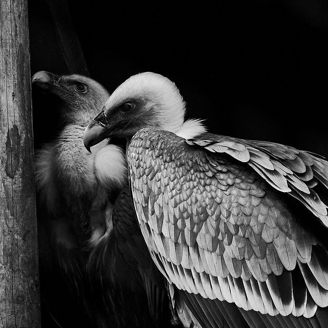 Tierpark Straubing