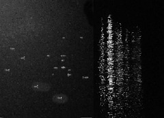 Hule at night with 2 PIP Hule at night with 2 PIP