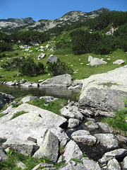 Pirin mountain