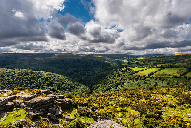 Dartmoor - 20150831