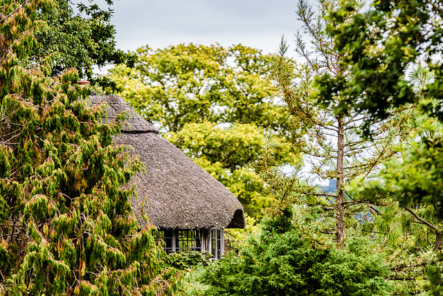 Dartington Hall - 20150903