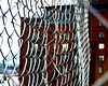 Happy Fence Friday Folks!!