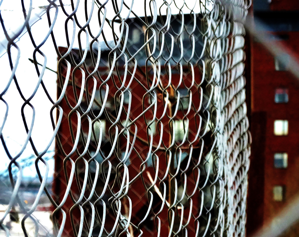 Happy Fence Friday Folks!!