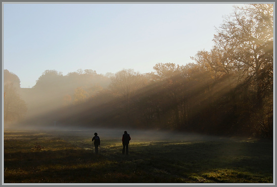 " marche à l' ombre "