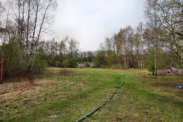 Brache Vondern (Oberhausen-Osterfeld) / 8.04.2018