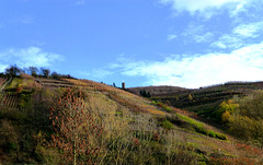 DE - Dernau - View towards Krausberg