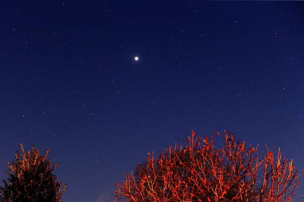 Venus in the evening