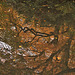 Reflection 2
