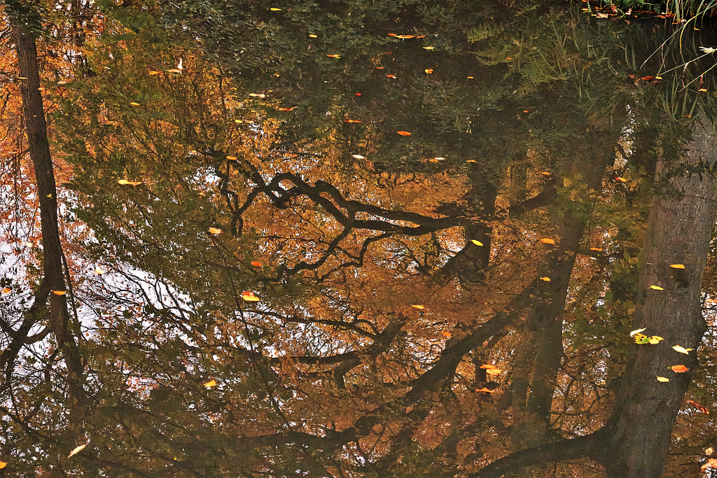 Reflection 2