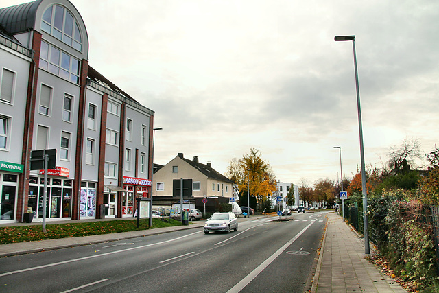 Wittener Straße (Witten-Herbede) / 6.11.2021