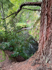 The Altyre Burn