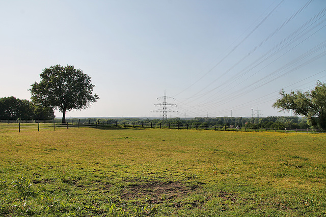 Feld an der Lehmbergstraße (Dorsten) / 27.05.2023