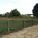 Clôture champêtre / Country style fence