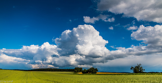 Fat Cloud - Dicke Wolke  (165°)