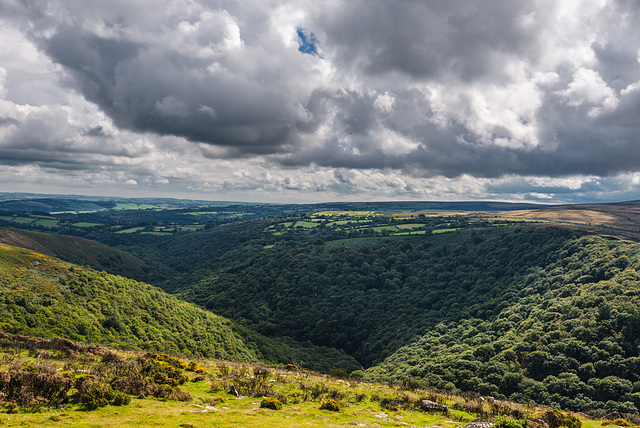 Dartmoor - 20150831